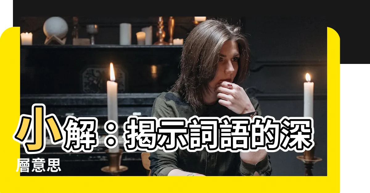 【小解 意思】小解：揭示詞語的深層意思