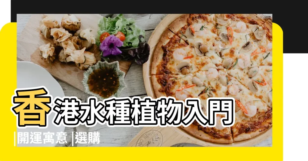 香港水種植物入門 |開運寓意 |選購花瓶 |【水種植物風水】