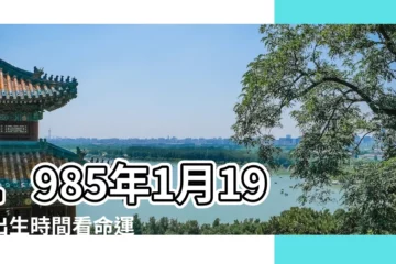 【1985年1月19日的農曆是什麼星座的】1985年1月19日出生時間看命運 |是什麼星座 |農曆一九八四 |