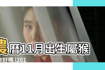 【2016年陰曆11月的猴】農曆11月出生屬猴人命好嗎 |2016年屬猴的幾月出生最好 |2016猴年屬猴的幾月出生最好 |