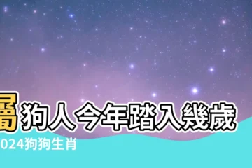 【狗 年】屬狗人今年踏入幾歲？2024狗狗生肖年齡對照！