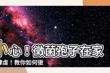 【黴菌孢子去除】小心！黴菌孢子在家中肆虐！教你如何徹底清除，還你健康居家