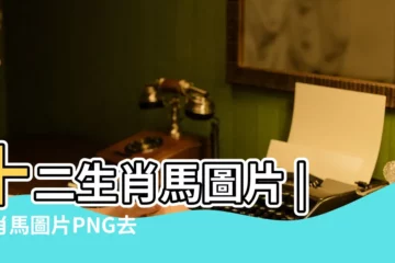 【q版十二生肖馬圖片大全圖片大全圖片大全】十二生肖馬圖片 |生肖馬圖片PNG去背圖 |卡通Q版手繪十二生肖午馬gif動態圖片下載 |