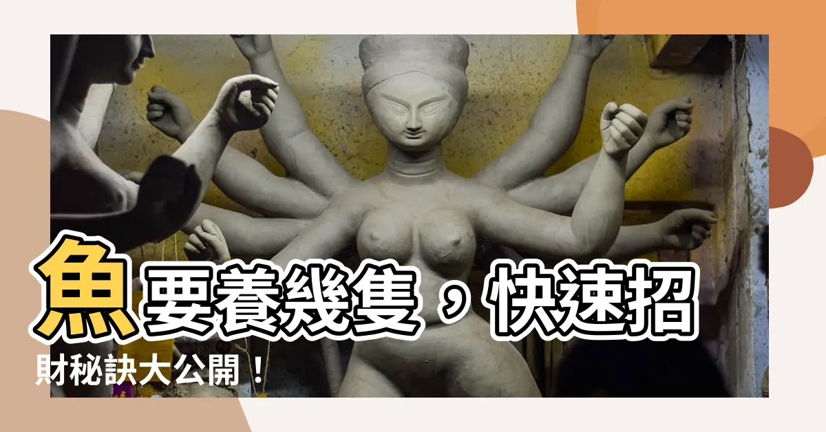 【魚要養幾隻才會招財】魚要養幾隻，快速招財秘訣大公開！
