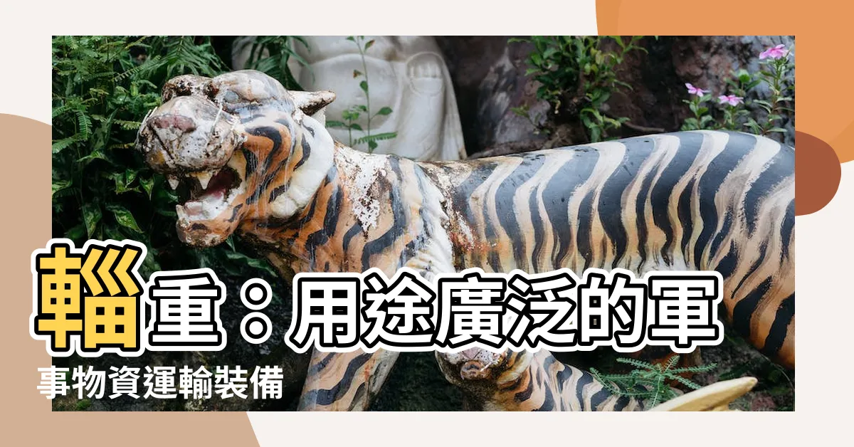 【輜重 意思】輜重：用途廣泛的軍事物資運輸裝備
