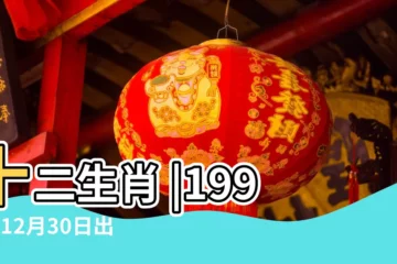【1999年12月30是什麼星座】十二生肖 |1999年12月30日出生的人的性格命運 |1999年12月30日是什麼星座 |
