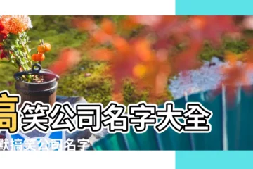 【科技公司搞笑名字大全】搞笑公司名字大全 |幽默搞笑公司名字大全 |幽默搞笑奇葩的公司名字大全 |