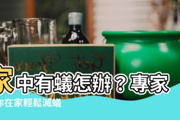 【家中有蟻怎辦】家中有蟻怎辦？專家教你在家輕鬆滅蟻