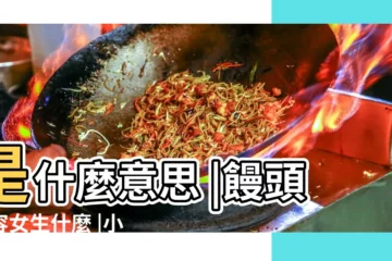 【小饅頭的意思】是什麼意思 |饅頭形容女生什麼 |小饅頭是指女生的什麼啊 |