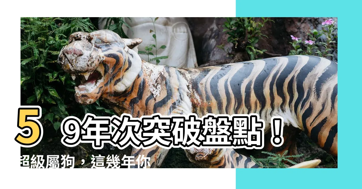 【59年次屬狗】59年次突破盤點！超級屬狗，這幾年你值得擁有哪種生肖！