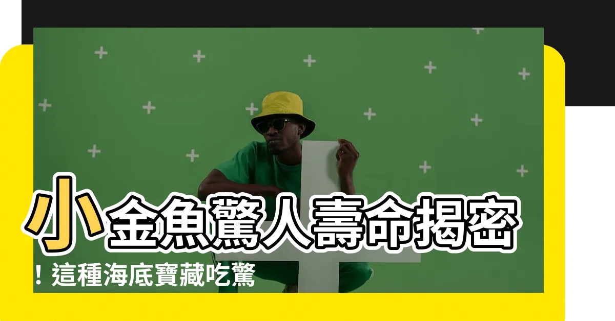 【小金魚壽命】小金魚驚人壽命揭密！這種海底寶藏吃驚全球