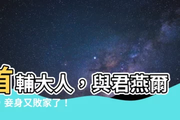 【與君燕爾時】首輔大人，與君燕爾時，妾身又敗家了！