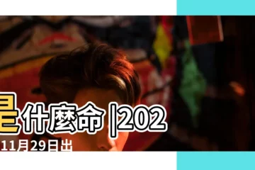 【年11月29出生是什麼命】是什麼命 |2023年11月29日出生的人命好嗎 |陽曆11月29日是什麼星座 |