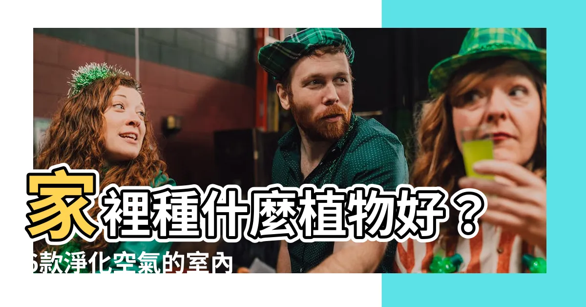 【家裡適合種什麼植物】家裡種什麼植物好？6款淨化空氣的室內植栽，讓你居家更健康