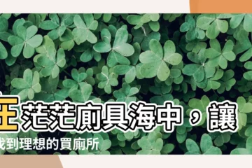 【買廁所】在茫茫廁具海中，讓你找到理想的買廁所攻略！