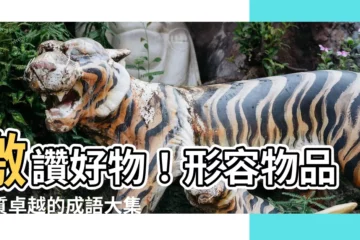 【形容好的成語】激讚好物！形容物品品質卓越的成語大集合