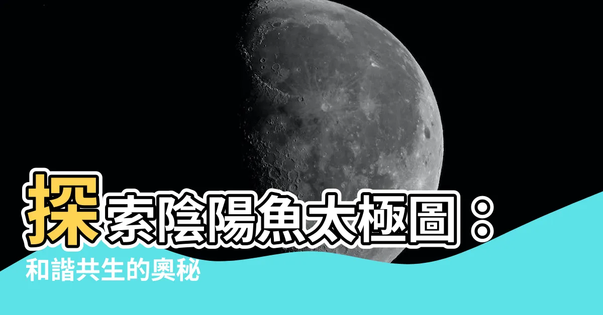 【陰陽魚太極圖】探索陰陽魚太極圖：和諧共生的奧秘