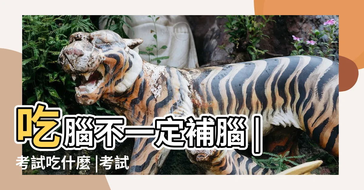 【考試前喝什麼】吃腦不一定補腦 |考試吃什麼 |考試必勝早餐 |