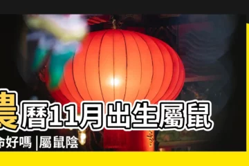 【屬鼠的陰曆11月】農曆11月出生屬鼠人命好嗎 |屬鼠陰曆十一月可以帶金銀飾品嗎 |屬鼠農曆十一月出生好嗎 |