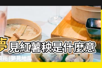 【孕婦做夢看見紅薯秧】夢見紅薯秧是什麼意思預兆 |夢見地瓜是什麼意思周公解夢夢見地瓜什麼預兆 |夢見紅薯秧預示什麼夢見紅薯秧是什麼意思 |