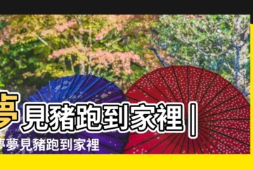 【周公解夢夢見豬跑家裏了】夢見豬跑到家裡 |做夢夢見豬跑到家裡好不好 |夢見豬跑進自己家裡 |