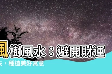 【楓樹 風水】楓樹風水：避開財運流失，種植美好寓意之樹