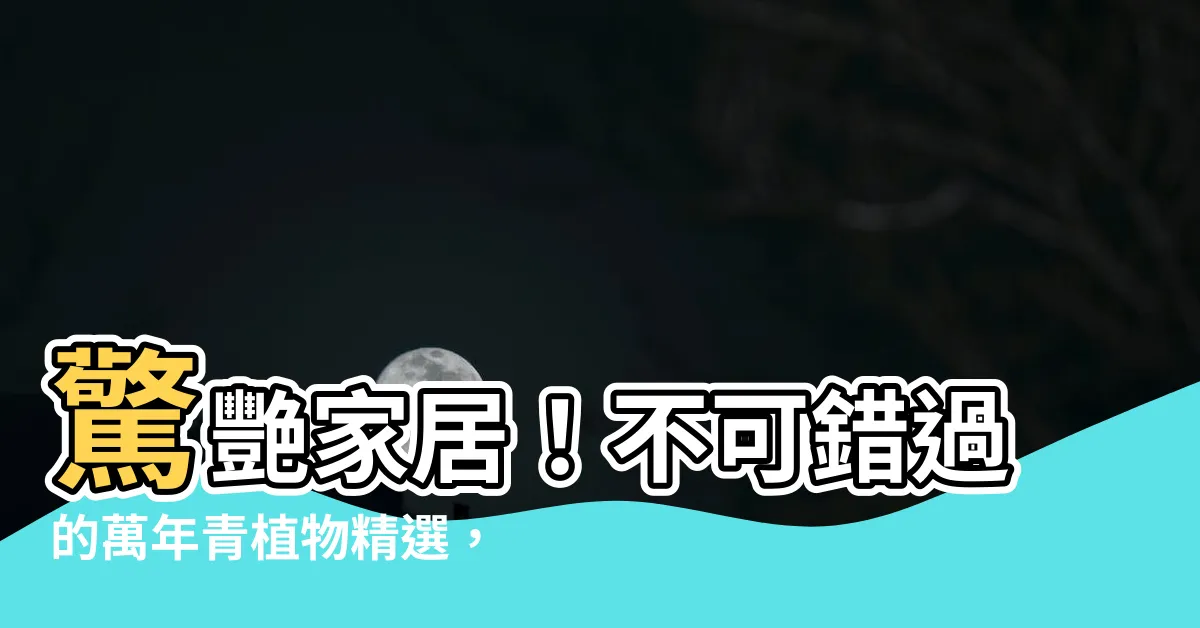 【萬年青植物】驚艷家居！不可錯過的萬年青植物精選，打造綠意盎然的室內空間