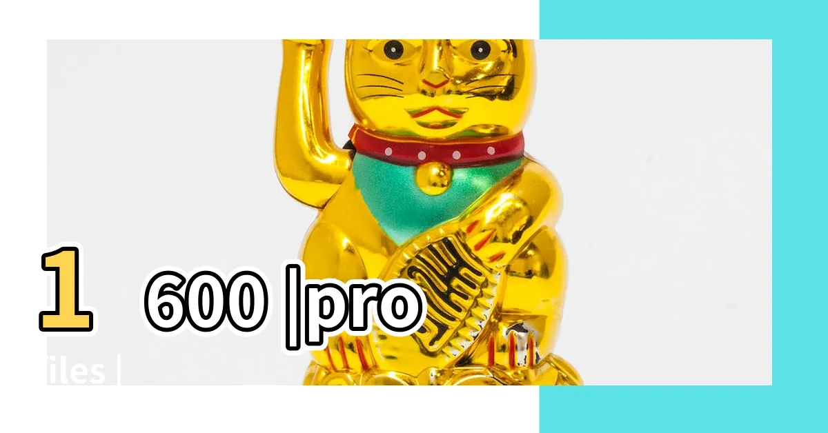 【志春】1600 |profiles |
