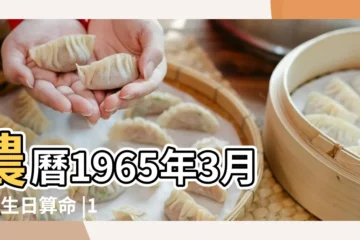 【1965年3月初二今年運勢】農曆1965年3月2日生日算命 |1965年3月2日八字財運測算 |1965年屬蛇人2023年運勢及運程58歲生肖 |