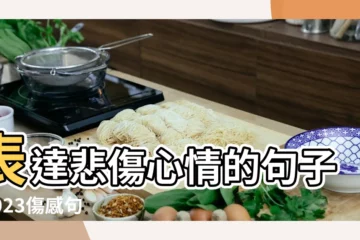【表達傷感的心情的句子大全】表達悲傷心情的句子 |2023傷感句子表達心情大全 |傷感的句子 |