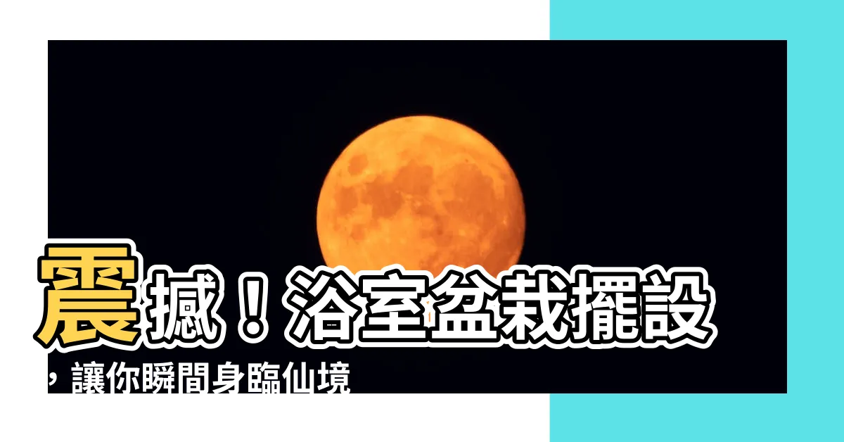【浴室盆栽擺設】震撼！浴室盆栽擺設，讓你瞬間身臨仙境的神奇植物