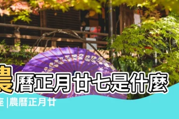 【陰曆正月二十七是什麼星座】農曆正月廿七是什麼星座 |農曆正月廿七 |是什麼星座及對應陽曆日期 |