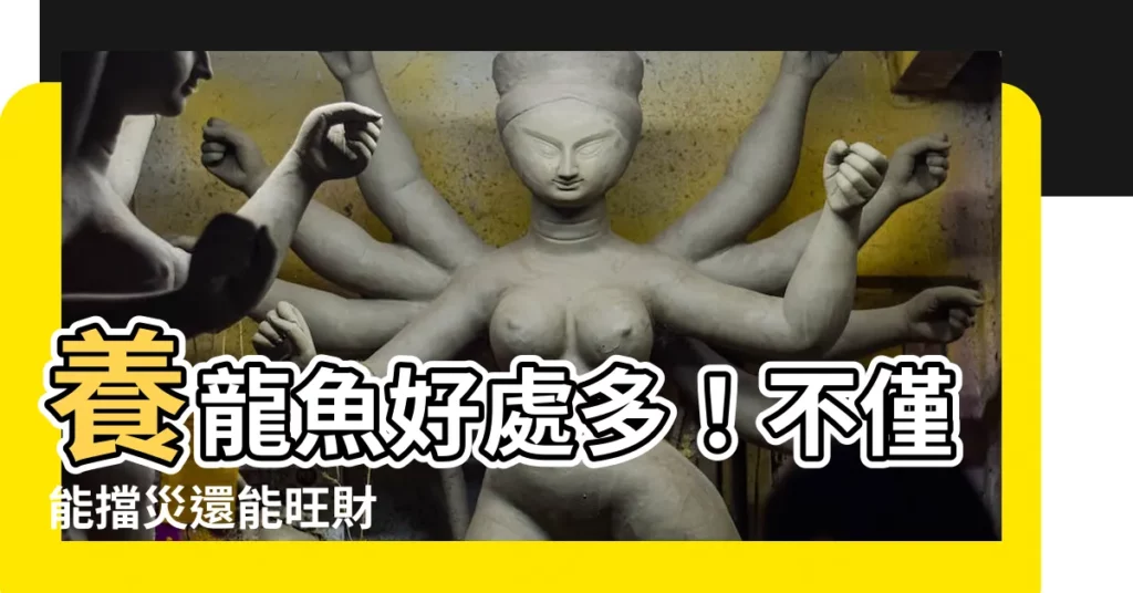 【養龍魚好處】養龍魚好處多！不僅能擋災還能旺財