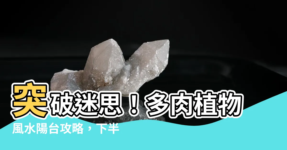 【多肉 植物風水 陽台】突破迷思！多肉植物風水陽台攻略，下半年大轉運！