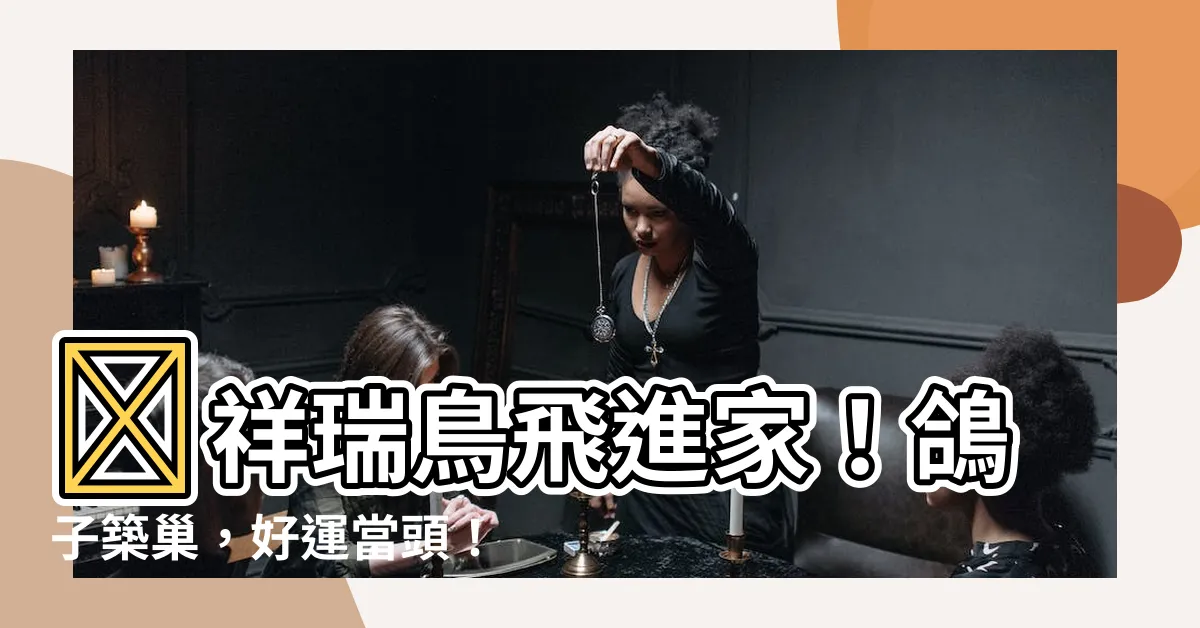 【鴿子飛進家裡】✨祥瑞鳥飛進家！鴿子築巢，好運當頭！✨