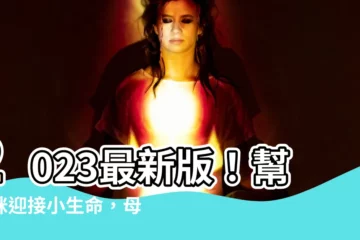 【貓生小貓】2023最新版！幫貓咪迎接小生命，母貓生產前準備與接生QA