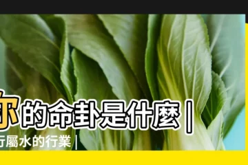 【風水師 行業坎卦】你的命卦是什麼 |五行屬水的行業 |適合什麼行業 |