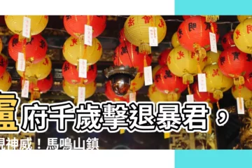 【盧府千歲】盧府千歲擊退暴君，展現神威！馬鳴山鎮安宮五年千歲祖廟來參拜