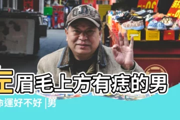 【面相 男左眉毛上方有痣】左眉毛上方有痣的男人命運好不好 |男人左眉毛上方有痣代表什麼 |婚姻易有小三 |