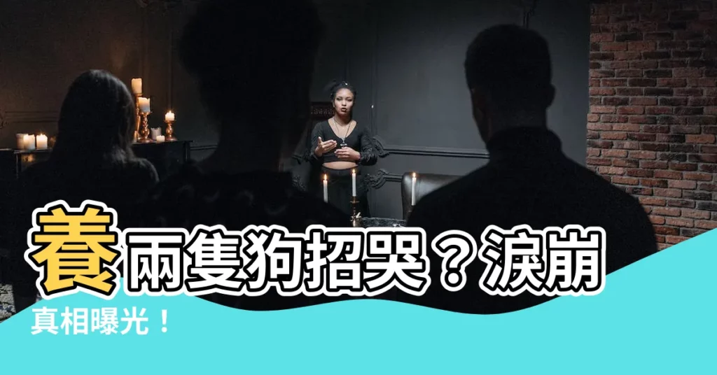 【兩隻狗 哭】養兩隻狗招哭？淚崩真相曝光！