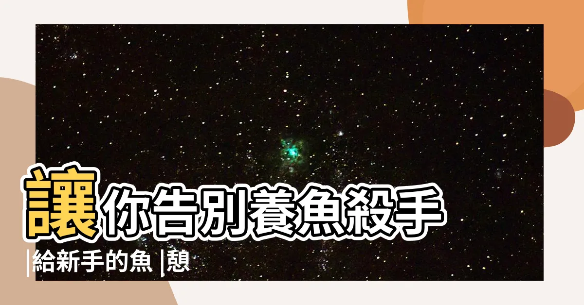 【室外養魚】讓你告別養魚殺手 |給新手的魚 |憩魚水族 |