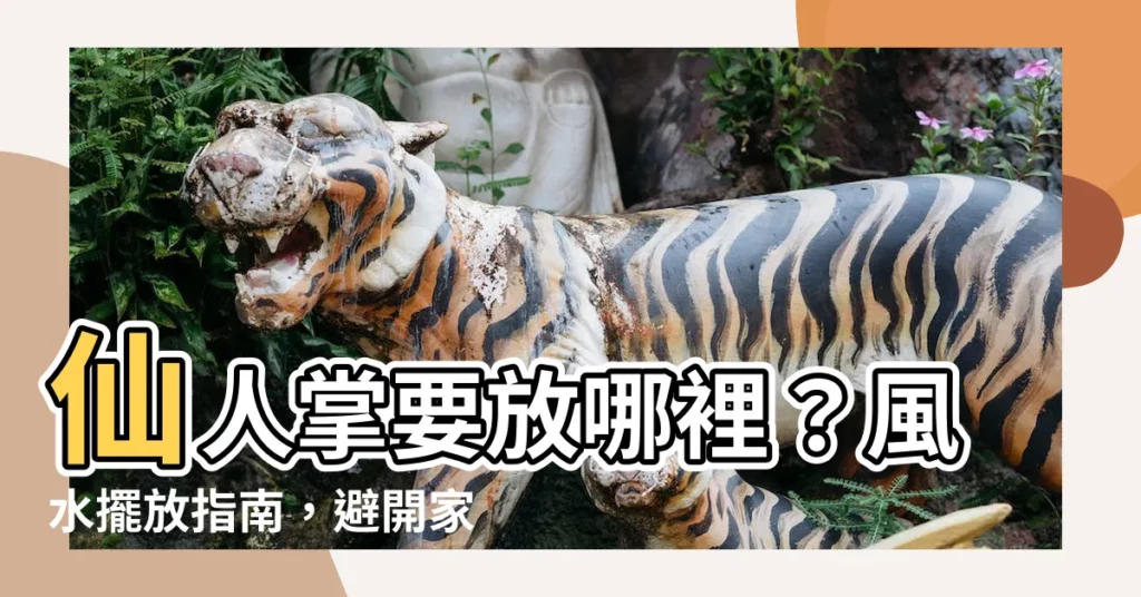 【仙人掌要放哪裡】仙人掌要放哪裡？風水擺放指南，避開家門口招煞
