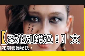 【文心蘭 花期】【愛花別錯過！】文心蘭花期養護秘訣，輕鬆打造嬌豔綻放