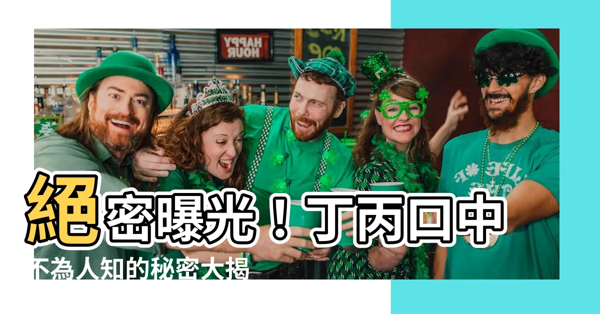 【丁丙】絕密曝光！丁丙口中不為人知的秘密大揭露