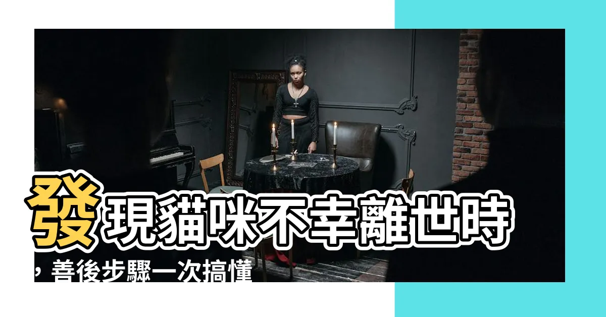【貓屍體】發現貓咪不幸離世時，善後步驟一次搞懂！