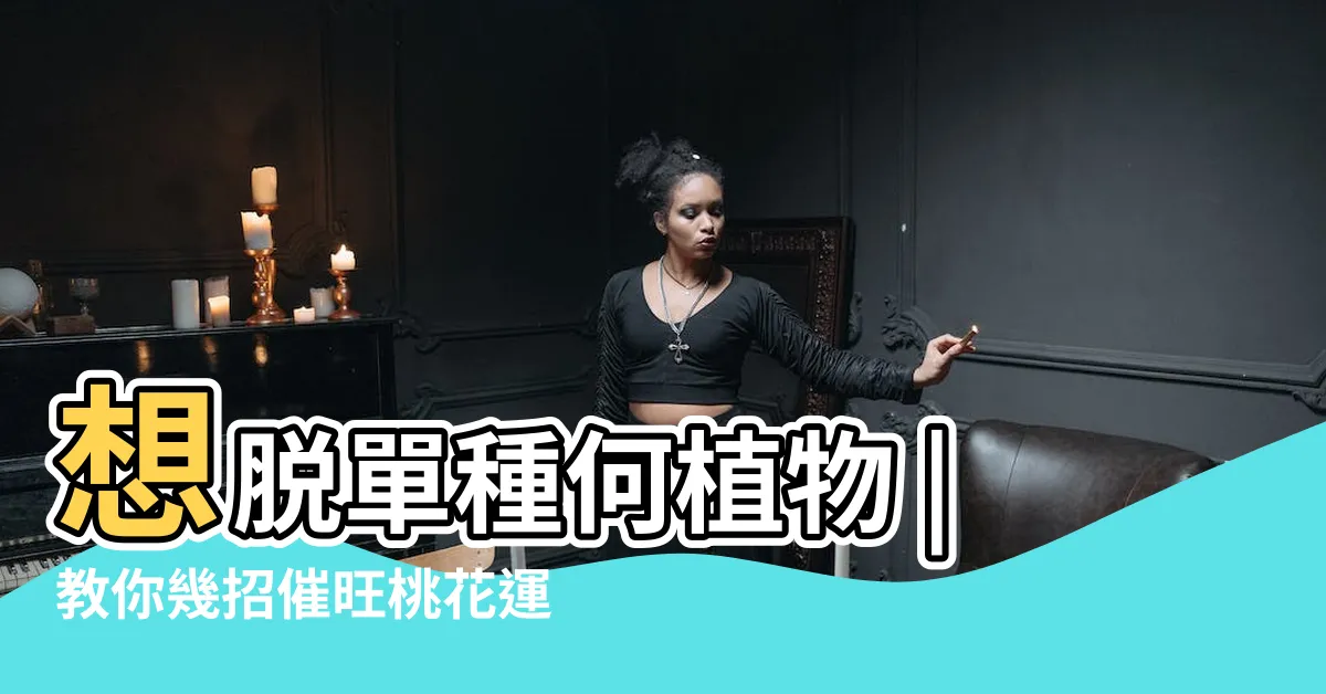 【如何催桃花】想脱單種何植物 |教你幾招催旺桃花運的小妙招 |兔年桃花運麥玲玲教催旺大法2023 |