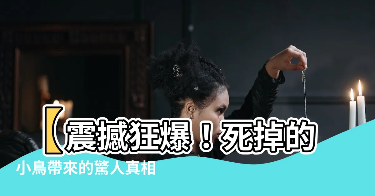 【死掉的小鳥】【震撼狂爆！死掉的小鳥帶來的驚人真相讓人咋舌】