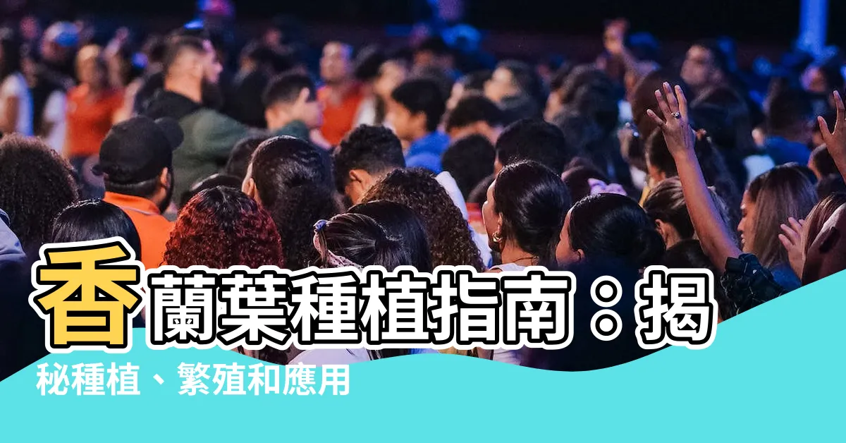 【班蘭葉種植方法】香蘭葉種植指南：揭秘種植、繁殖和應用秘訣