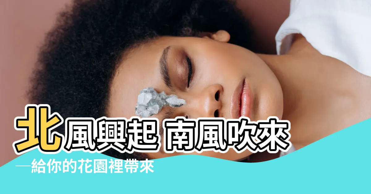 【北風興起 南風吹來】北風興起 南風吹來─給你的花園裡帶來奇妙的變化