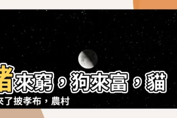 【貓兒來了披孝布】豬來窮，狗來富，貓兒來了披孝布，農村人信以為真！